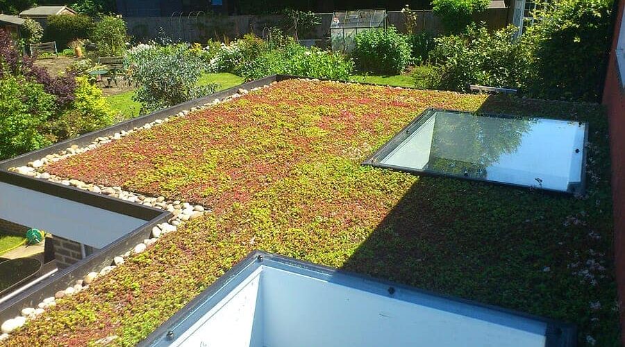 green-roof-flexiproof-epdm-rubber-roofing green-roof-flexiproof-epdm-rubber-roofing