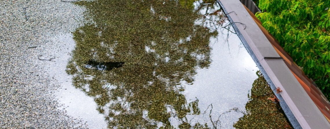 Ponding standing water on a flat roof after heavy rain
