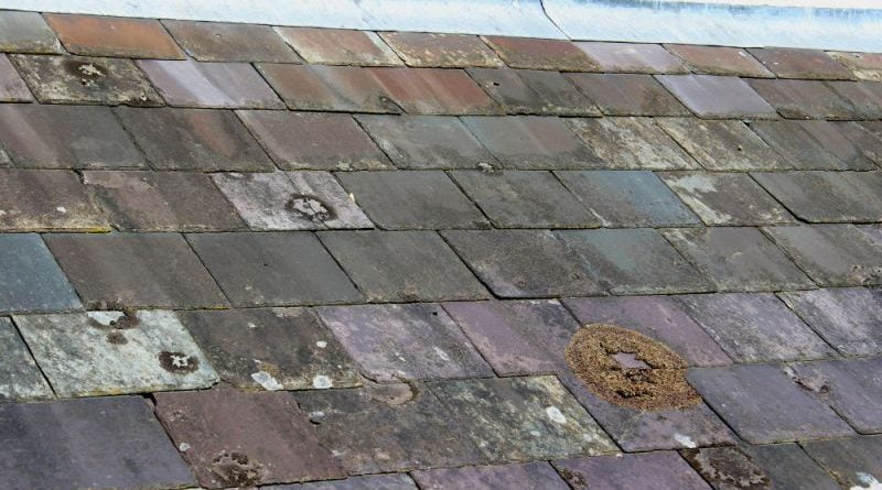 old roof replacement